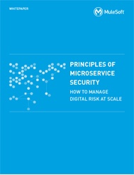CTA_hs_small_mule_microservices_security_whitepaper.jpg